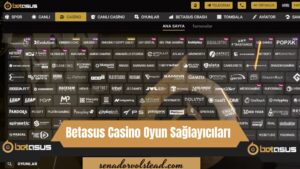 Betasus Casino Oyun Sağlayıcıları